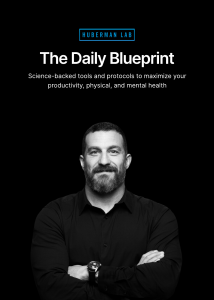 The Daily Blueprint