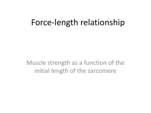 6 Force-length relationship