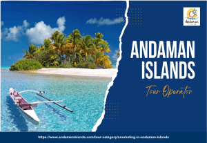Snorkeling Tour Package in Andaman Islands