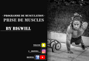 Prise de muscles by Bigwill - MUSCULATION-1