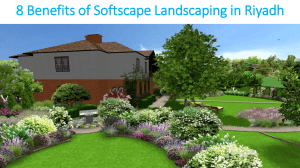8 Benefits of Softscape Landscaping in Riyadh