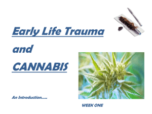 Early Life Trauma and Cannabis session one