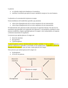 metabolismo de glucosa pdf 2