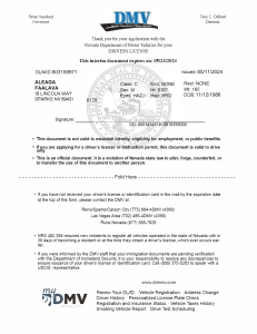 NV DMV Temporary License 222