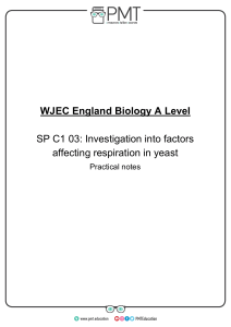 SP 1.3 - Respiration in Yeast