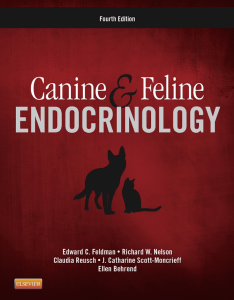 340163380-Canine-and-Feline-Endocrinology-pdf