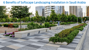 6 Benefits of Softscape Landscaping Installation in Saudi Arabia