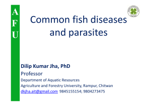 9. Fish diseases and parasites-I