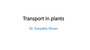 Transport in Plants - AS Level CAIE