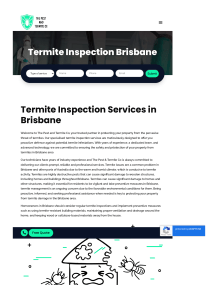 Termite Inspection Brisbane