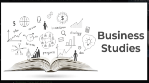 Business Studies PI (1)