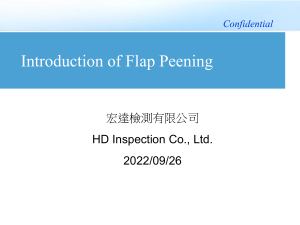 Introduction of Flap Peening-20220927