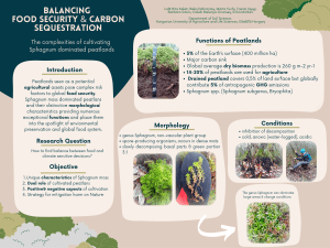 Peatland Cultivation: Balancing Food & Carbon Sequestration