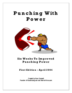 Punching With Power1