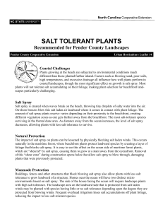 Salt Tolerant Plants
