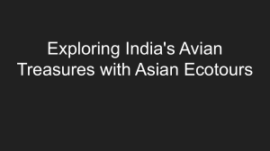 Exploring India's Avian Treasures with Asian Ecotours