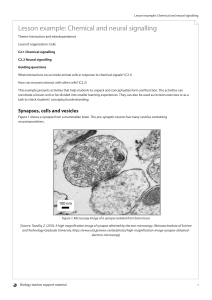 BIOLOGY TSM chemical neural signalling EN