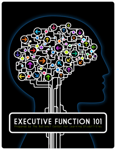 Exec-Function-e-book