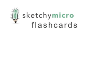 Sketchy Micro Flashcards