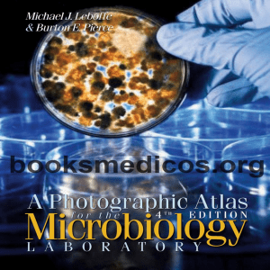 A Photographic Atlas Microbiology Labora