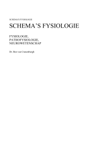 Schema's Fysiologie dr. Ben Van Cranenburg