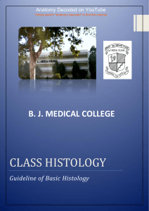 Histology Slides BJMC