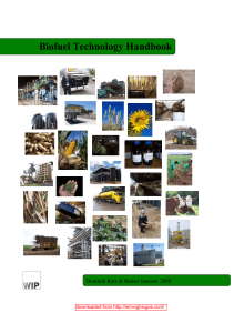 Biofuel Technology Handbook version2 D5 of Rutz Dominik and Janssen Rainer