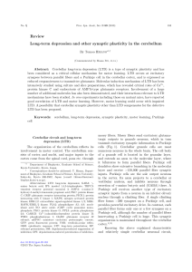 paper about LTD