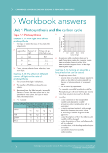 Photosynthesis & Carbon Cycle Workbook Answers