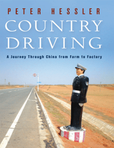 vdoc.pub country-driving-a-journey-through-china-from-farm-to-factory