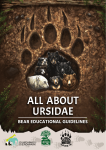 Bear-Educational-Guidelines