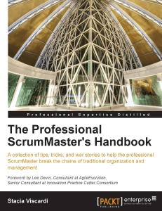 The Professional ScrumMasters H