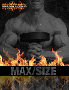 MAX Size Workouts InkSaver