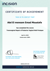 certificate(2)