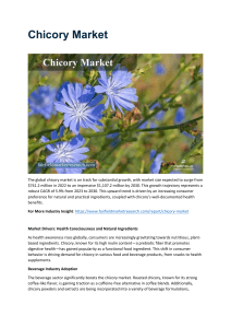 Chicory Market Expansion: Driven by Demand in Food and Beverage Sectors