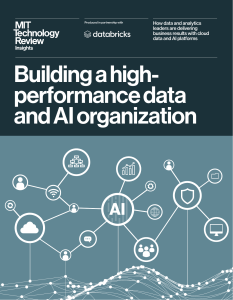 High-Performance Data & AI Organization Report