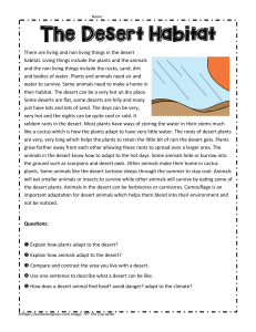 Desert Habitat Worksheet: Plant & Animal Adaptations