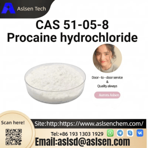 CAS 51-05-8  Procaine hydrochloride