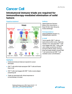 Intratumoral immune triads are required for immunotherapy-mediated elimination of solid tumors