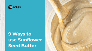 9 WAYS TO USE SUNFLOWER SEED BUTTER