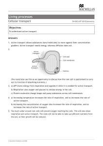 9780230438835 Cell Biology - Active Transport Worksheet Answers