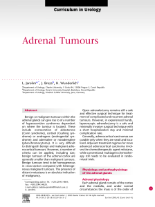 Adrenal Tumors: Diagnosis & Treatment