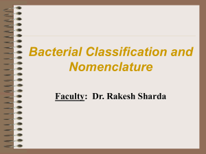 Bacterial-Classification