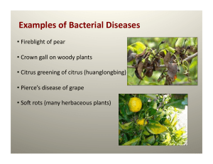 1.9-pathogens-part2