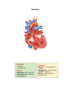 Heart Anatomy & Physiology: Cardiac Function & ACS Overview