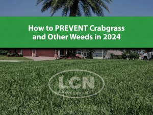 Stop Weeds Before They Grow - LCN Pre-Emergent Guide