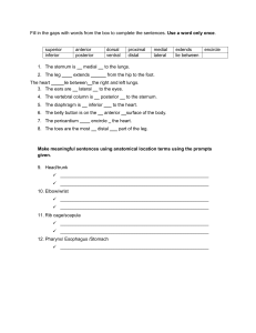 Anatomical Location Terms Worksheet