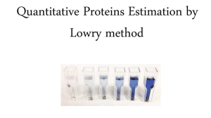 Lowry Method for Protein Estimation