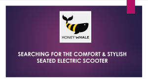 Searching For The Comfort & Stylish Seated Electric Scooter