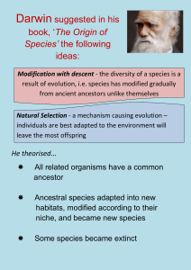 Darwin's Theory of Evolution: Key Ideas